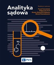 Analityka sdowa, Kocielniak Pawe, Wietecha-Posuszny Renata, Krl Magorzata, Woniakiewicz Micha