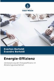 Energie-Effizienz, Bertoldi Everton