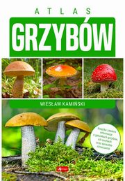 Atlas grzybw, Kamiski Wiesaw