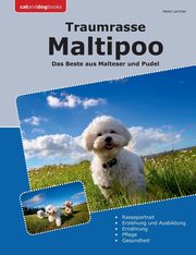 Traumrasse Maltipoo, Lammer Heike