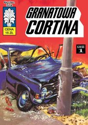 Kapitan bik - 47 - Granatowa cortina, Wrblewski Jerzy, Krupka Wadysaw