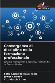 Convergenza di discipline nella formazione professionale, Lpez de Nava Tapia Sofa