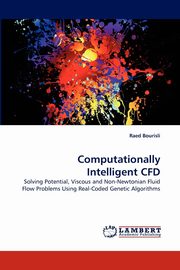 Computationally Intelligent CFD, Bourisli Raed
