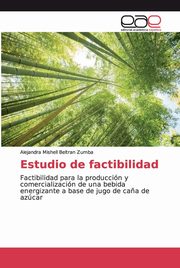 Estudio de factibilidad, Beltran Zumba Alejandra Mishell