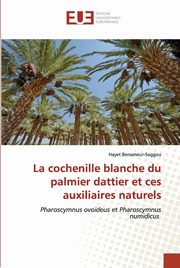 La cochenille blanche du palmier dattier et ces auxiliaires naturels, Benameur-Saggou Hayet