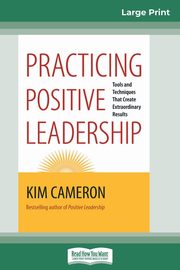 Practicing Positive Leadership, Cameron Kim