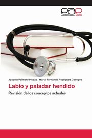 Labio y paladar hendido, Palmero Picazo Joaqun