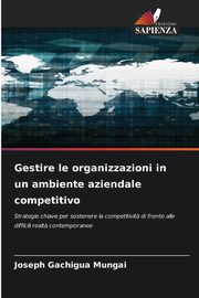 Gestire le organizzazioni in un ambiente aziendale competitivo, GACHIGUA MUNGAI JOSEPH
