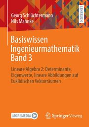 Basiswissen Ingenieurmathematik Band 3, Schlchtermann Georg