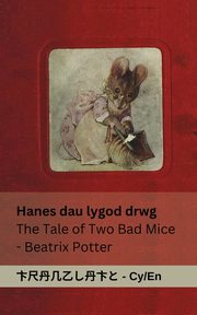 Hanes dau lygod drwg / The Tale of Two Bad Mice, Potter Beatrix