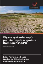 Wykorzystanie zapr podziemnych w gminie Bom Sucesso/PB, Sousa Erick Ferreira de