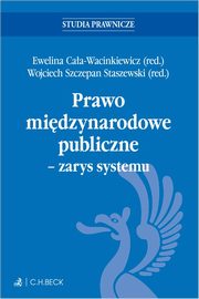 Prawo midzynarodowe publiczne - zarys systemu + testy online, 