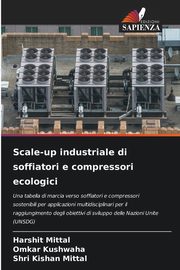 Scale-up industriale di soffiatori e compressori ecologici, Mittal Harshit