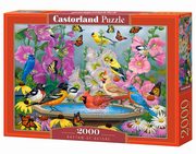 Puzzle 2000 Rhythm of Nature, 