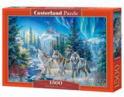 Puzzle Moonrise Call 1500, 