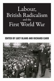 Labour, British radicalism and the First World War, 