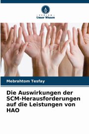 Die Auswirkungen der SCM-Herausforderungen auf die Leistungen von HAO, Tesfay Mebrahtom