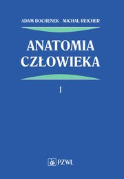 Anatomia czowieka Tom 1, Bochenek Adam,Reicher Micha