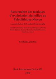 Reconnatre des tactiques d'exploitation du milieu au Palolithique Moyen, Lemorini Cristina