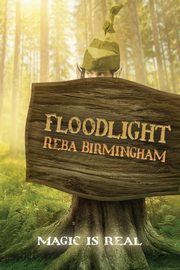 Floodlight, Birmingham Reba