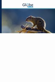 Red Teaming, Speltheorie, Panpsychisme en Quantal Perceptie, Kurup Ravikumar