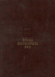 ksiazka tytu: Wielka encyklopedia PWN Tom 2 autor: 