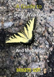 A Guide To Self-Healing and Meditation, Scott Bridgette