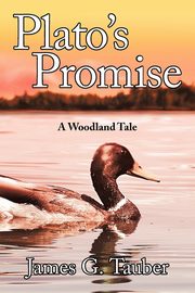Plato's Promise, Tauber James G.