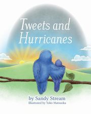 ksiazka tytu: Tweets and Hurricanes autor: Stream Sandy