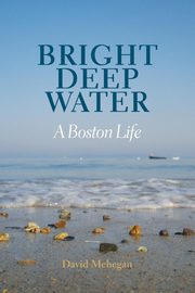 Bright Deep Water, Mehegan David