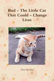Bud - The Little Cat That Could - Change Lives, Seering Dan