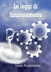 Le leggi di funzionamento, Russomanno Amato