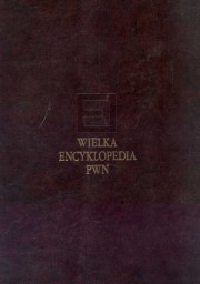 ksiazka tytu: Wielka encyklopedia PWN Tom 17 autor: 