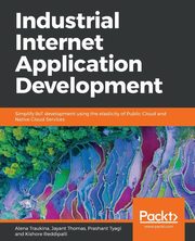 Industrial Internet Application Development, Traukina Alena