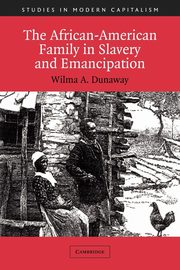 The African-American Family in Slavery and Emancipation, Dunaway Wilma A.