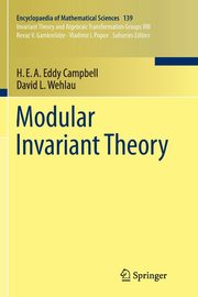 Modular Invariant Theory, Campbell H.E.A. Eddy