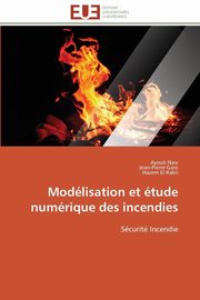 Modlisation et tude numrique des incendies, Collectif