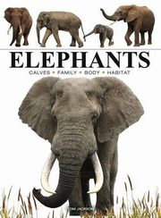 Elephants, Jackson Tom