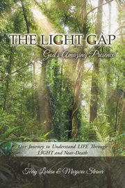 The Light GAP, Terry Larkin