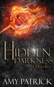 Hidden Darkness, Book 4 of the Hidden Saga, Patrick Amy