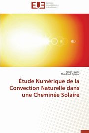 tude numrique de la convection naturelle dans une chemine solaire, Collectif