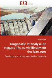 Diagnostic et analyse de risques lis au vieillissement des barrages, PEYRAS-L