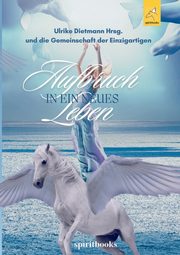 Aufbruch in ein neues Leben, Dietmann Ulrike
