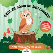 Gdzie si sowa do snu chowa? Kto mieszka w lesie, Huisman Fiona