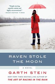 Raven Stole the Moon, Stein Garth