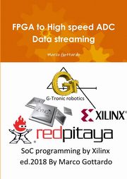 FPGA to High speed ADC Data streaming, Gottardo Marco