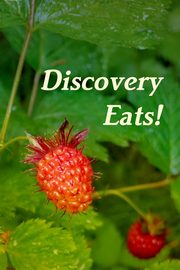 Discovery Eats!, Voyages Discovery