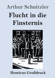 Flucht in die Finsternis (Grodruck), Schnitzler Arthur