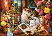 Puzzle Wizard Kittens 1000, 