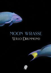 Moon Wrasse, Drummond Willo